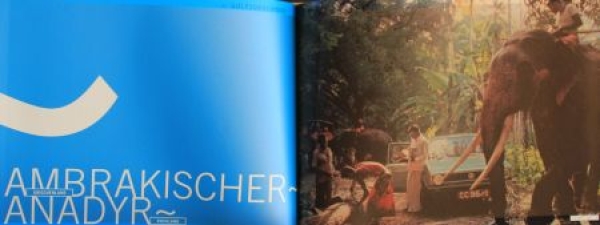Grieger "25 000 000 Golf" Volkswagen Rabbit History 2007 (8535)